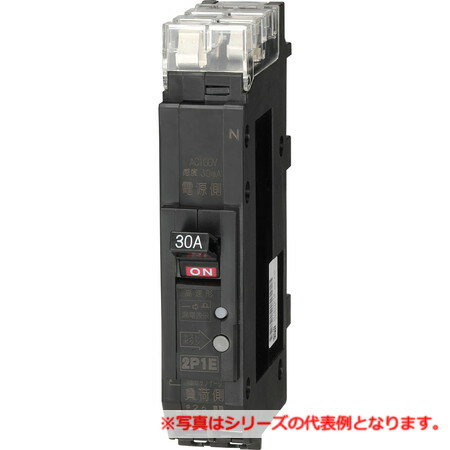 乐天商城 - 日東工業 PGX51TA2P20AF15 プラグインスリム漏電ブレーカ