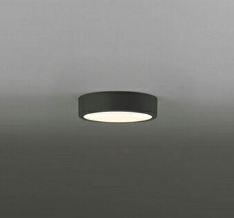 Other - オーデリック OL251779R 小型シーリングライト 【OL251779後継品】