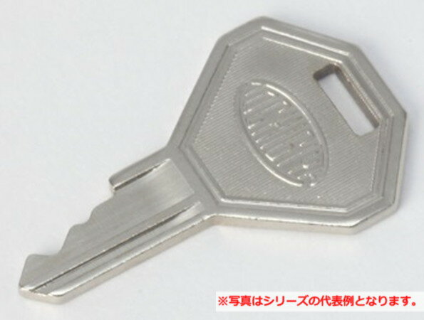 樂天商城 - 【受注品】寺田電機製作所 RDS-TL-210key まもれーる・屋外くん用カギ×1 TERADA