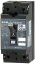 テンパール工業 2ZA2030 漏電遮断器 GB-2ZA 20A30MA