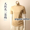 UVカット効果の天然色 茶綿 タートルネック 半袖 オーガニックコットン レディース 綿 S/M/L/XL ハイネック 日本製 タートルネック綿100 敏感肌 アトピー 化学物質過敏症 送料無料