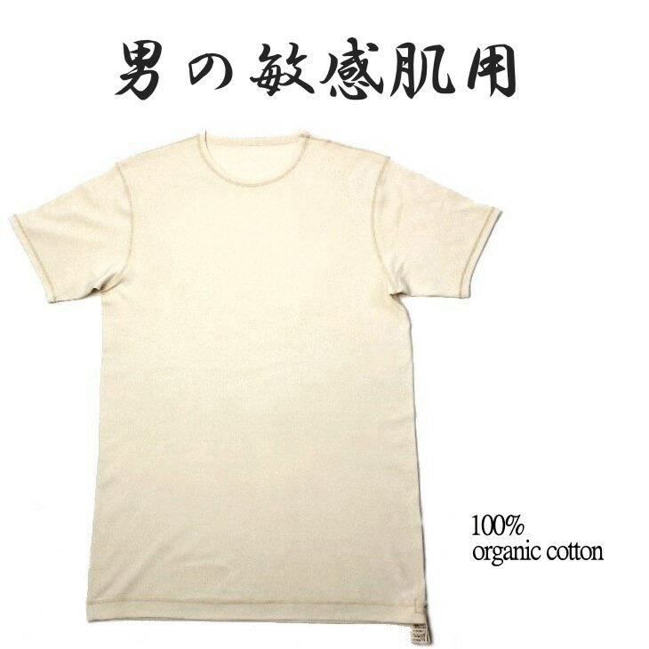 【50代メンズ】秋に着たいチクチクしないインナーのオススメを教えてください。