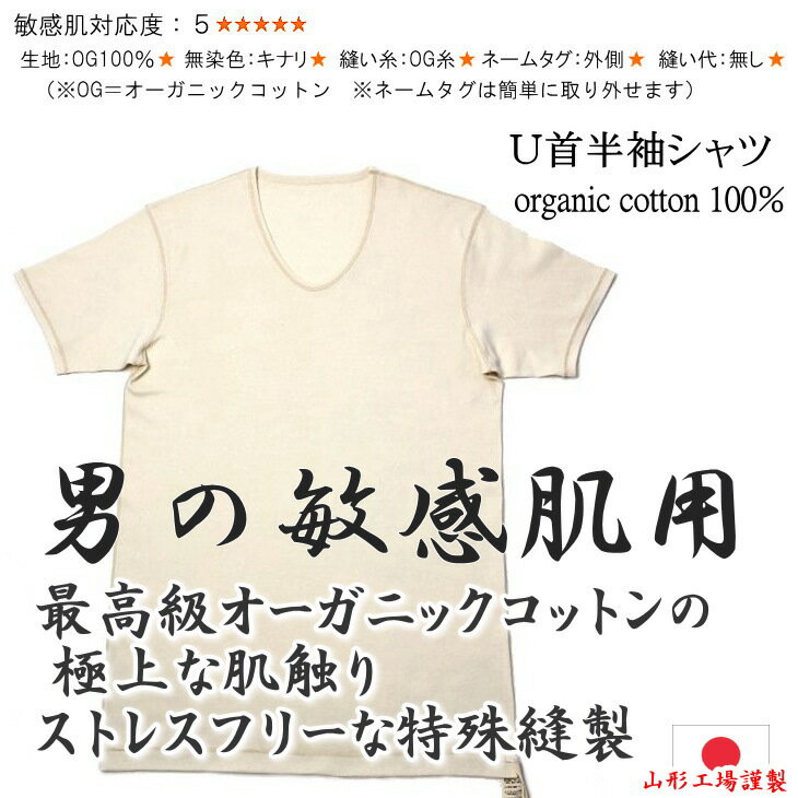 【送料無料】世界最高ランクのオーガニックコットン メンズ敏感肌対応 U首半袖シャツ 縫い代なし 無染色 キナリ 綿 綿100％ コットン 紳士 肌に優しい 下着 肌着 インナー Tシャツ アトピー 縫い目 日本製 アルティメイトピマ スーピマ メール便