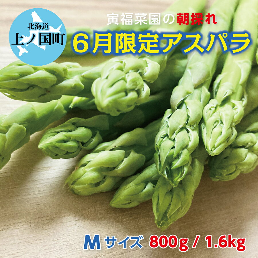 2026年6月上旬～6月下旬発送 北海道 上ノ国町産 寅福菜園 朝採れ 6月限定アスパラ ...
