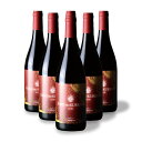 上ノ国ワイナリー 上の紅 750ml 6本セット 北海道上ノ国町
