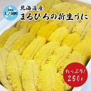 2025年5〜8月発送 北海道産 上ノ国町 まるひろの折生うに 約250g 北海道産うに ウニ 雲丹 キタムラサキウニ 塩水うに 折生うに 折ウニ 新鮮 直送
