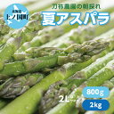 2025年7月上旬~8月末発送 北海道 上ノ国町産 刀祢農園 朝採れ 夏アスパラ 2L以上 800g 2kg 新鮮 直送 アスパラガス グリーンアスパラ 朝採り 当日発送