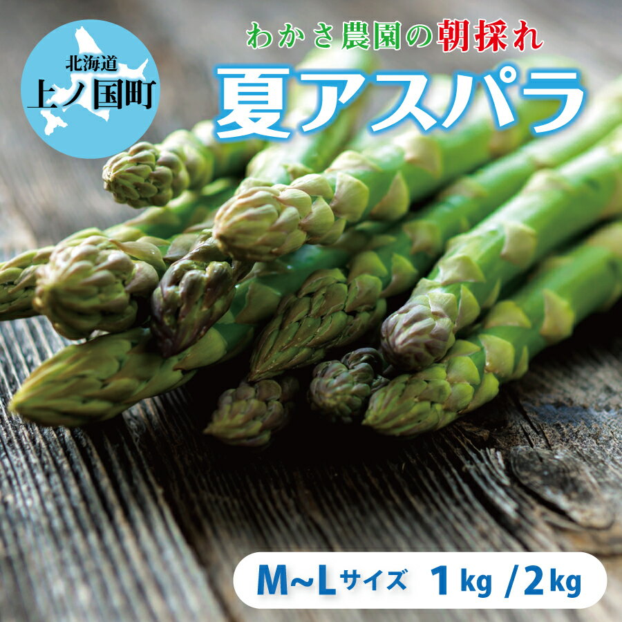 2025年6月下旬以降発送 北海道 上ノ国町産 わかさ農園 朝採れ 夏アスパラ M~L 1kg 2kg 新鮮 直送 アスパラガス グリーンアスパラ 朝採り 当日発送