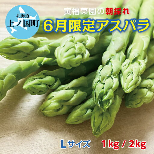 2025年6月上旬~6月下旬発送 北海道 上ノ国町産 寅福菜園 朝採れ 6月限定アスパラ L 1kg 2kg 新鮮 直送 アスパラガス グリーンアスパラ 朝採り 当日発送 2025年6月上旬~6月下旬発送 北海道 上ノ国町産 寅福菜園 朝採れ 6月限定アスパラ L 1kg 2kg 新鮮 直送 アスパラガス グリーンアスパラ 朝採り 当日発送