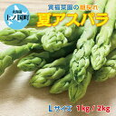 2025年7月上旬~9月下旬発送 北海道 上ノ国町産 寅福菜園 朝採れ 夏アスパラ L 1kg 2kg 新鮮 直送 アスパラガス グリーンアスパラ 朝採り 当日発送