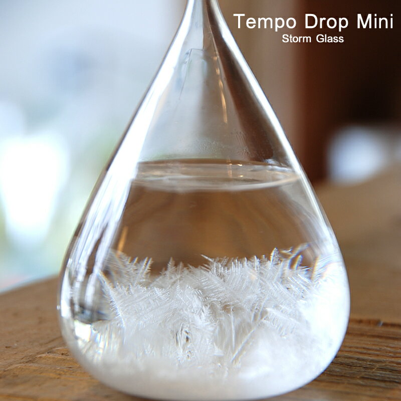 晴雨予報グラス Perrocaliente TEMPO DROP Mini ストームグラス