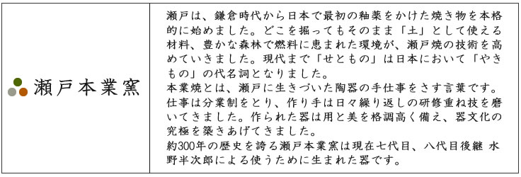 瀬戸本業窯　 いらぼマグカップ 民藝