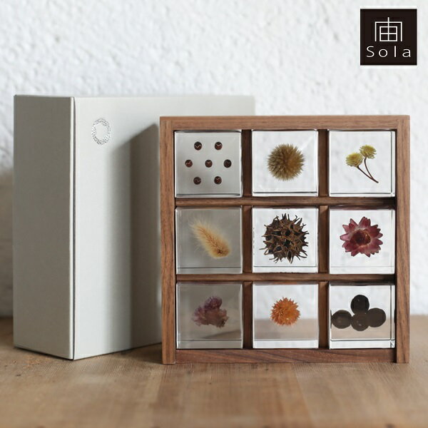 【送料無料】宙-sola- ソラ sola cube 標本箱木箱セット ウサギノネドコセレクション（9個入り）