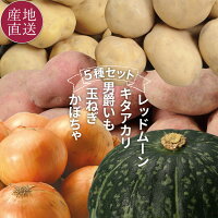 北海道 秋の味覚 5種の秋野菜セット 合計7kg 3種じゃがいも かぼちゃ 玉ねぎじゃがいも かぼちゃ 玉葱 詰め合わせ 秋 野菜 農家直送 ※予約販売(10月中旬頃からご注文順に発送予定)