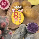北海道 カラフルじゃがいも8種食べ比べセット 北海道 剣淵町 けんぶちVIVAマルシェ 北海道 じゃがいも 秋 野菜 農家直送 【送料無料】※予約販売(10月中旬頃からご注文順に発送予定)