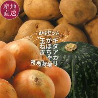 北海道 特別栽培 秋の野菜収穫セット 3種 合計4kg じゃがいも キタアカリ/玉ねぎ/かぼちゃ 北海道 じゃがいも かぼちゃ 玉葱 詰め合わせ 秋 野菜 農家直送 ※予約販売(10月上旬頃からご注文順に発送予定)