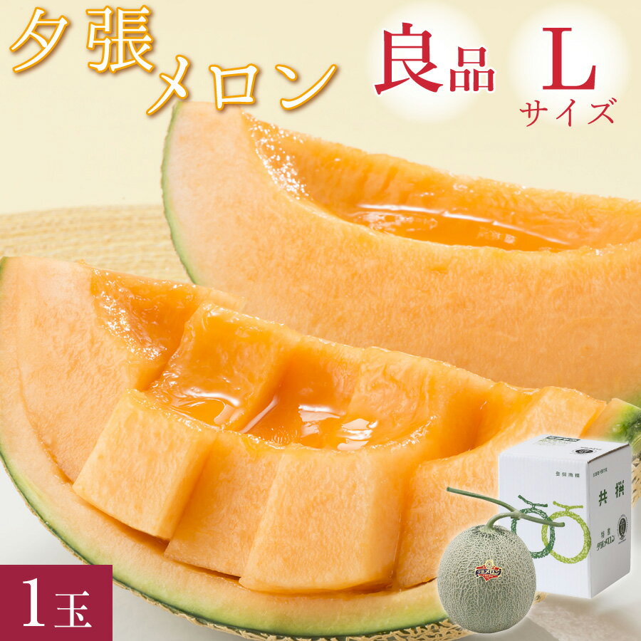 メロン 【メロン早割クーポン配布中】 夕張メロン 良品 Lサイズ(約1.3kg) 1玉 共撰 夕張農協 合格品 共撰 良品 夕張メロン お中元 メロン 北海道 夕張 ゆうばりめろん 夏 ギフト 中元 御中元 贈り物 お取り寄せ 共選 【送料無料】