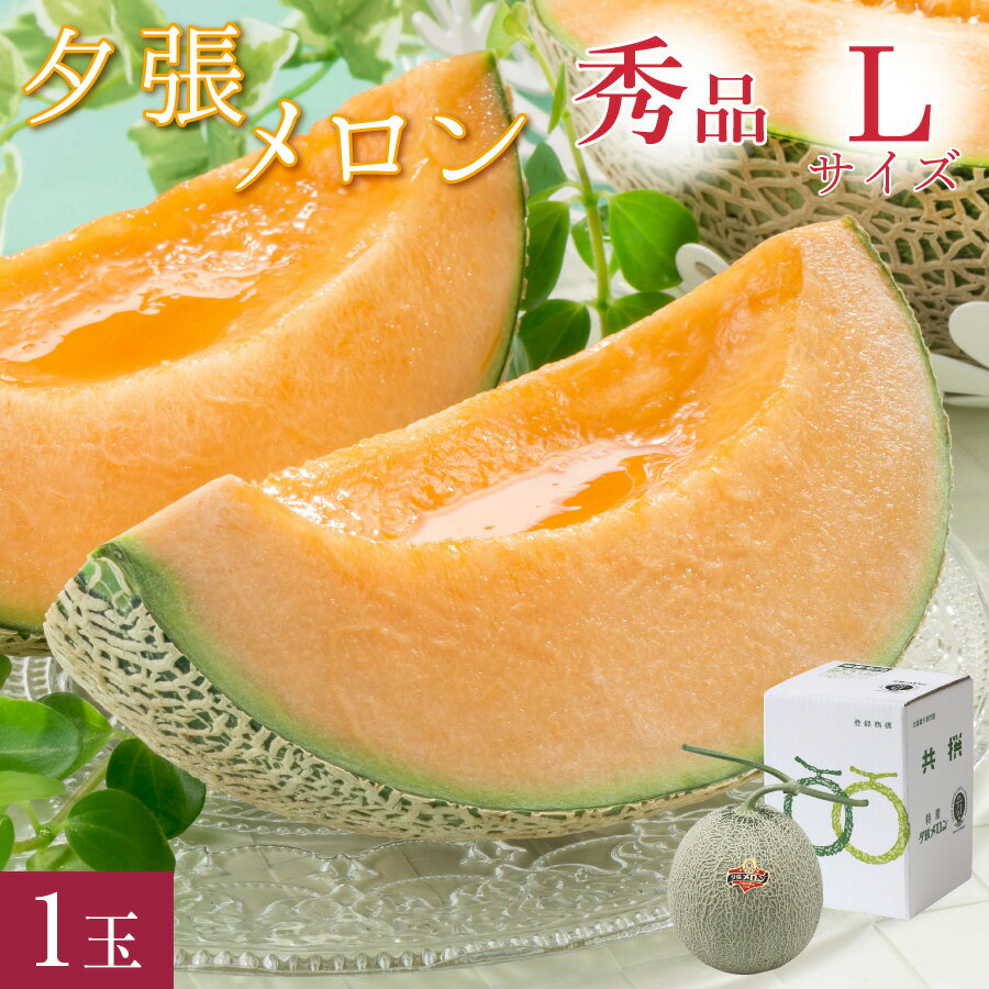 商品詳細 名称 夕張メロン 秀品 L(約1.3kg) 1玉 共撰 夕張農協 合格品 共撰 秀品 夕張メロン お中元 メロン 北海道 ギフト 御中元 【送料無料】 特徴 北海道が誇るブランドメロン・夕張メロン。夕張メロンは、果肉がたいへん柔らかく、舌触りが格別です。そして、芳醇な香りでとてもジューシーな味わいです。 産地名 北海道夕張市 内容量 夕張メロン 赤肉 秀品 Lサイズ(約1.3kg)×1玉 保存方法 夕張メロン到着後、箱を開けて涼しい所で、食べ頃になるまで保管してください。 食べる前に夕張メロンを冷蔵庫で3〜5時間程度冷やすと、美味しくお召し上がりいただけます。 発送予定日 6月下旬～8月上旬※ご注文順に発送いたします※メロンの生育状況により遅れる場合があります 発送区分 佐川クール冷蔵便 備考 ・夕張メロンの生育状況により発送が大幅に早まる場合、遅れる場合がございます。 ・夕張メロンの収穫状況により受付期間中でも予告なく受付を終了する場合がございます。 ・食べ頃になり次第、収穫し発送するため、夕張メロンの発送日及び着日の指定はお受けできません。夕張メロン 秀品 L(約1.3kg) 1玉 共撰 夕張農協 合格品 共撰 秀品 夕張メロン お中元 メロン 北海道 ギフト 御中元 【送料無料】