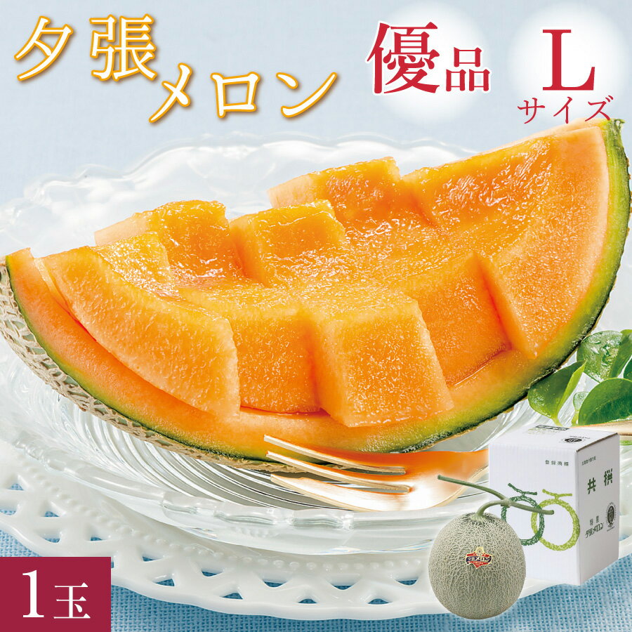 【150円OFFクーポン配布中！】夕張メロン 優品 Lサイズ(約1.3kg) 1玉 共撰 夕張農協 合格品 共撰 優品 夕張メロン お中元 早割 メロン 北海道 夕張 ゆうばり 共選 夏 ギフト 中元 御中元 贈り物 【送料無料】のサムネイル