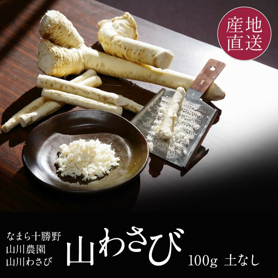 北海道産 生 山わさび 西洋わさび 100g 極上の風味を味わう生の山わさび 農家集団「なまら十勝野」山川農園 生 やまわさび ホースラディッシュ【送料無料】※着日指定不可