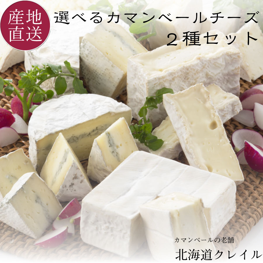 ミニカマンベール ：【冷蔵】ILE DE FRANCE ミニカマンベール 10個 250g 1袋 コストコ COSTCO個別包装【コストコ通販】＃8