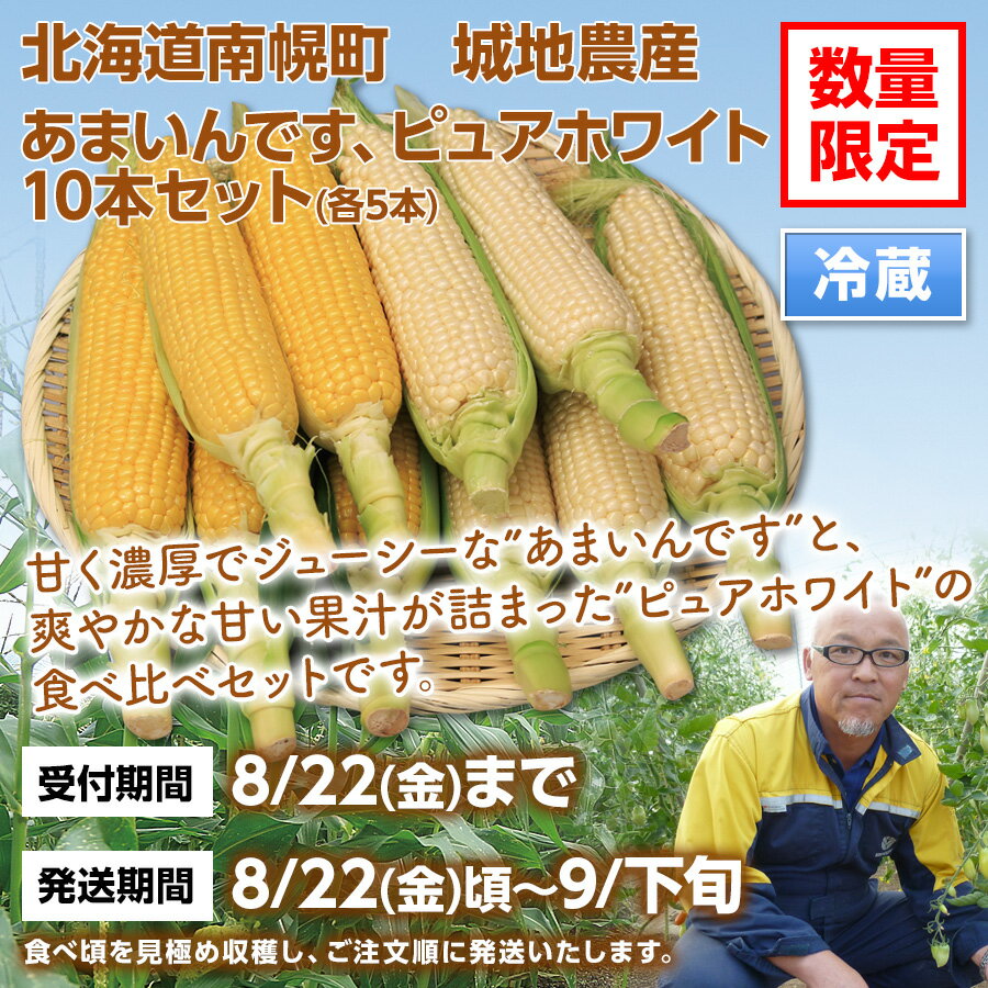 北海道 とうもろこし 2種 10本 ピュアホワイト あまいんです 各5本 お取り寄せ 北...