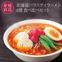 北海道バラエティラーメン食べ比べセット 4種×各2人前 室蘭カレーラーメン ラーサラ三郎（ラーメンサラダ） 登別閻魔ラーメン シシリアンルージュのトマトラーメン お中元 父の日 ラーメン ギフト 【送料無料】