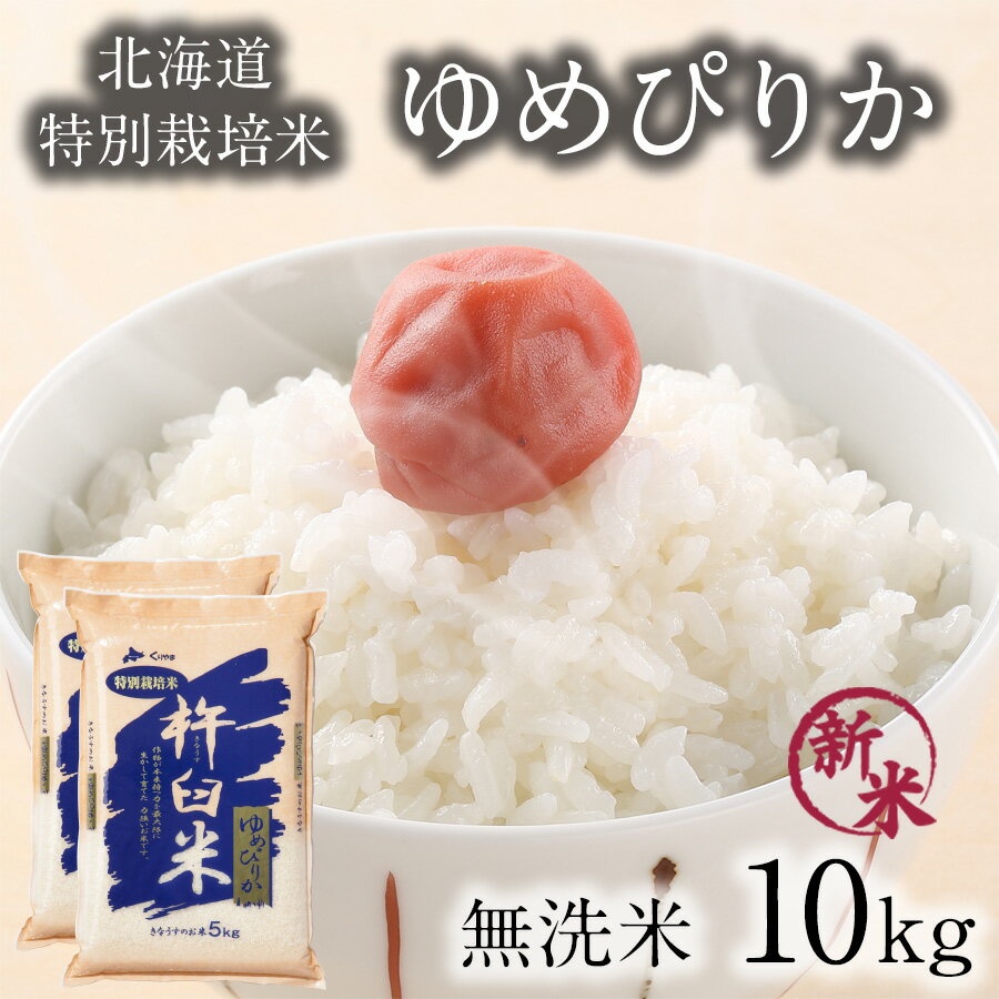 特別栽培米 ゆめぴりか 無洗米 10kg 令和5年 特A ゆめぴりか 10キロ(5kg×2袋) 減農薬 北海道 米 無洗米 北海道 きなうすファーム 農家直送 お米 令和5年産 新米 北海道産米 2023年産【送料無料】