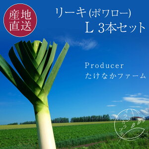 【ポイント5倍！26日 1:59まで】 北海道 十勝産 リーキ Lサイズ 3本(1kg) 西洋ネギ/ポワロー/ポロネギ/ポワロネギ 日本国内でも珍しい甘みが美味しい西洋葱 国産 西洋ねぎ 常温便で発送 【送料無料】