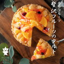 ホシフルーツ 贅沢フルーツのタルト 春夏ギフト 詰め合わせ 7種の果実 御中元 お中元 スイーツ 父の日 ギフト 山口 お土産 母の日 瀬戸内 お取り寄せ 洋菓...