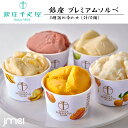 銀座千疋屋 銀座プレミアムソルベ 10個入り お中元 御中元 母の日 スイーツ 父の日 ギフト お歳暮 御歳暮 お取り寄せスイーツ バレンタインデー ホワイトデ...