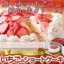 たっぷり生クリームといちごのショートケーキ 5号(4〜6人)ウィンズアーク お取り寄せ スイーツ 洋菓子 自宅用 お中元 御中元 母の日 父の日 お歳暮 御歳暮 バレンタイン ホワイトデー ギフト