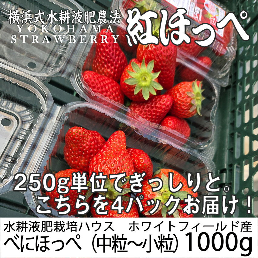 ̣��ǻ�����������٤ˤۤä���γ����γ�򤿤äפ�1000g ���������б� �辰���� �Ȥۤä� ������ ������ �� �� ������ �Ż��äѤ� ��� ���塼����