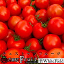 ホワイトフィールド チェストマトフルーツ/2kg フルティカ(4)