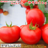 ホワイトフィールドチェストマトみそら109-1A/1ｋｇとまと味糖度特徴高級トマト高級とまと