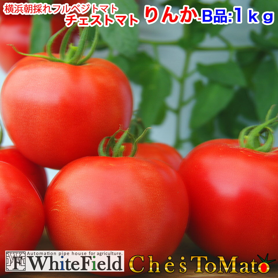 ホワイトフィールドチェストマトりんかB/1kgとまと味糖度特徴高級トマト高級とまと
