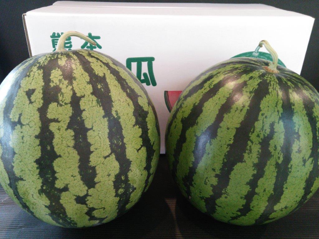 送料無料 植木すいか　Lサイズ（1玉入6kg×2玉入）熊本県 植木産のサムネイル