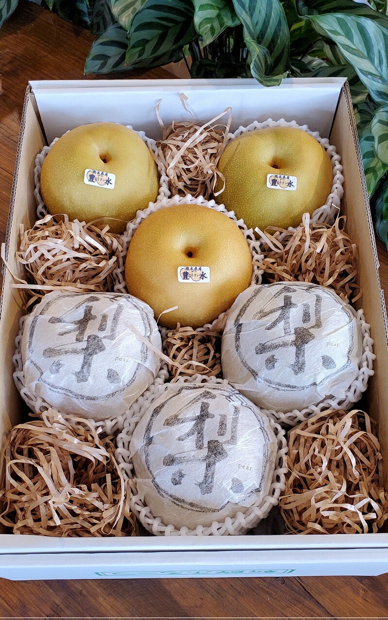 送料無料 フルーツ ギフト 梨 熊本県産 豊水梨 約3kg（6玉入）のサムネイル