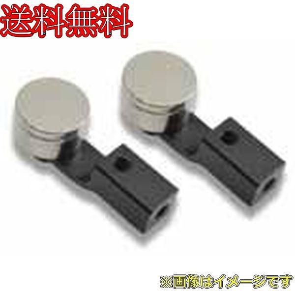 Electric Parts - ラップアップNEXT 0498-FD ショートローハイトボディマウント（マグネット付）