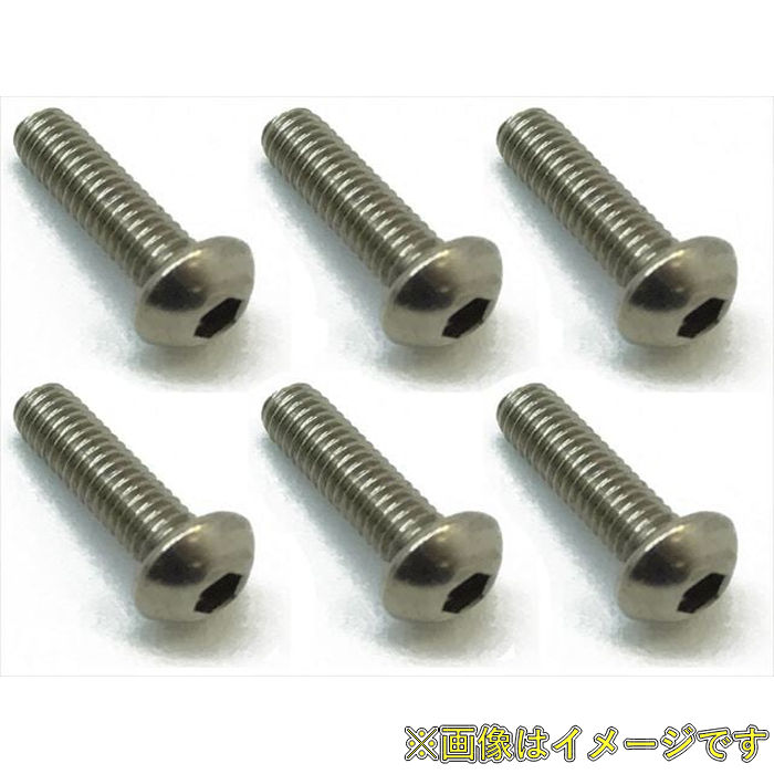 樂天商城 - スクエア NTR-310 チタンヘックス ボタンビス 3×10(6本入)