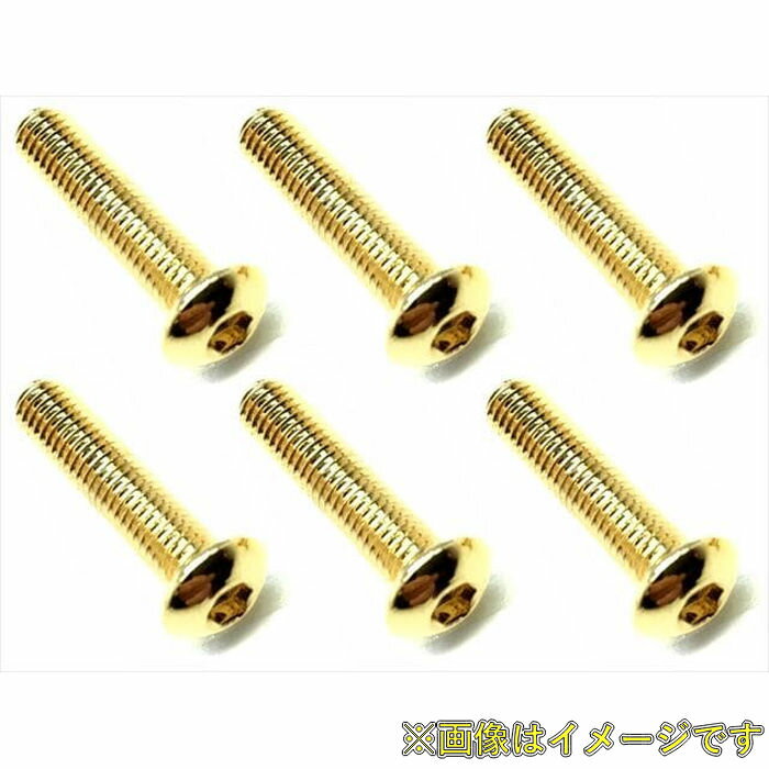 樂天商城 - スクエア 24Kゴールドステンヘックスボタンビス 3×14 6本 NSR-314G