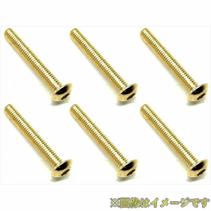 光沢のある24kゴールドメッキを用いたステンレスヘックスビスの各サイズ単品の発売です。強度もあり、目立ち度アップ！