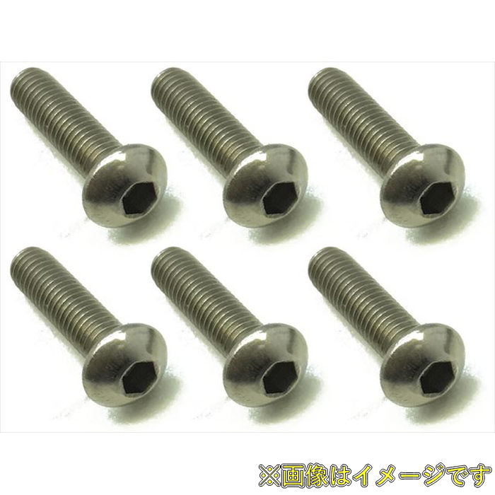 Parts - スクエア NTR-312 チタンヘックス ボタンビス 3×12(6本入)