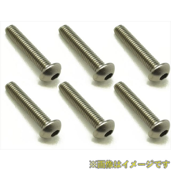 樂天商城 - スクエア NTR-315 チタンヘックス ボタンビス 3×15(6本入)