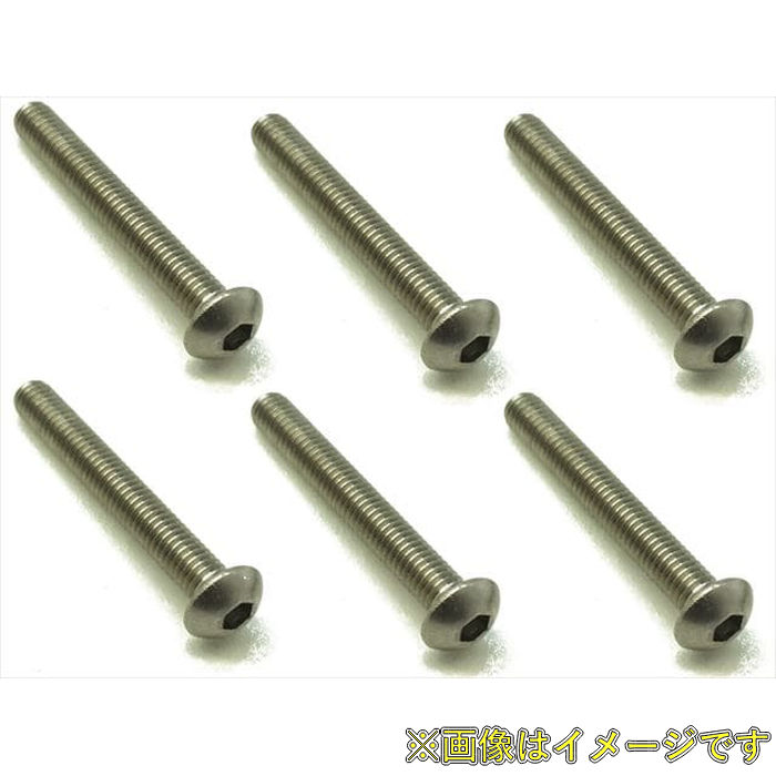樂天商城 - スクエア NTR-322 チタンヘックス ボタンビス 3×22(6本入)