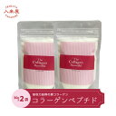 プロテイン 糖質脂質オフ コラーゲンパウダー コラーゲン粉末 筋肉増大 筋トレ コラーゲンペプチド 乾燥 潤い 美肌 髪ツヤ 爪 血管 無添加 豚皮 まつ毛 歯...