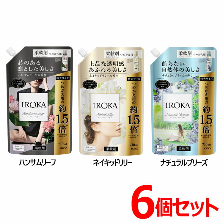 【6月1日限定最大100%ポイントバック！】[6個セット]IROKA ネイキッドリリー ナチュラルブリーズ ハンサムリーフ スパウト つめかえ用 710ml 送料無料 花王 イロカ 柔軟剤 透明タイプ 詰め替え用 ピュアムスク アンバー 大容量 Kao まとめ買い 【D】のサムネイル