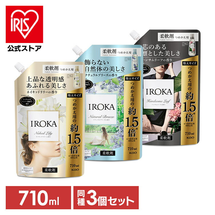 【6月1日限定最大100%ポイントバック！】[3個セット]IROKA ネイキッドリリー ナチュラルブリーズ ハンサムリーフ スパウト つめかえ用 710ml 花王 イロカ 柔軟剤 透明タイプ 詰め替え用 ピュアムスク アンバー 大容量 Kao 買い置き【D】のサムネイル