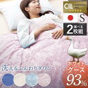 掛け布団 シングル 夏 洗える 2枚セット 夏用掛け布団 羽毛布団 日本製ダウンケット ホワイトグース 抗菌 防臭 WGD93%0.2kg 代引不可【iris_...