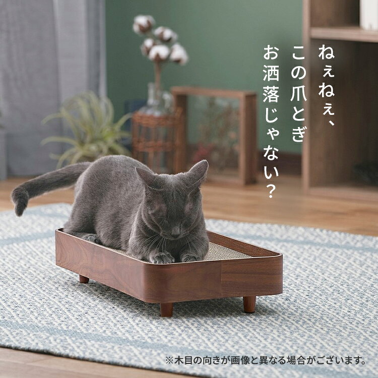 サンプル画像3